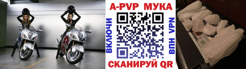 Alfa_PVP СК Братск