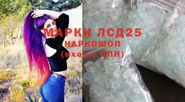 гидропоника Бородино