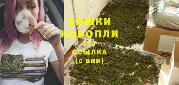 гидропоника Бородино