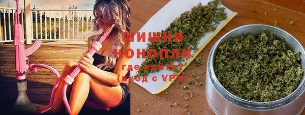 гидропоника Бородино