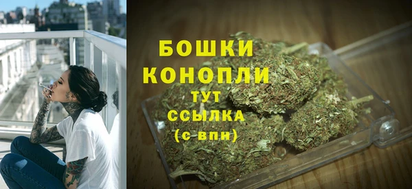 гидропоника Бородино