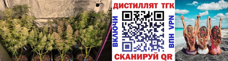 где купить Братск Дистиллят ТГК Wax