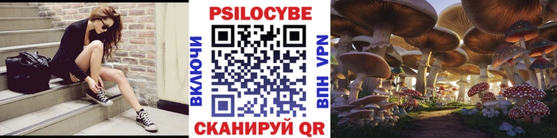 kraken рабочий сайт  Братск  Псилоцибиновые грибы GOLDEN TEACHER  дарнет шоп 